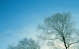 在线短信呼死你