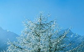 黑科技一键呼叫轰炸